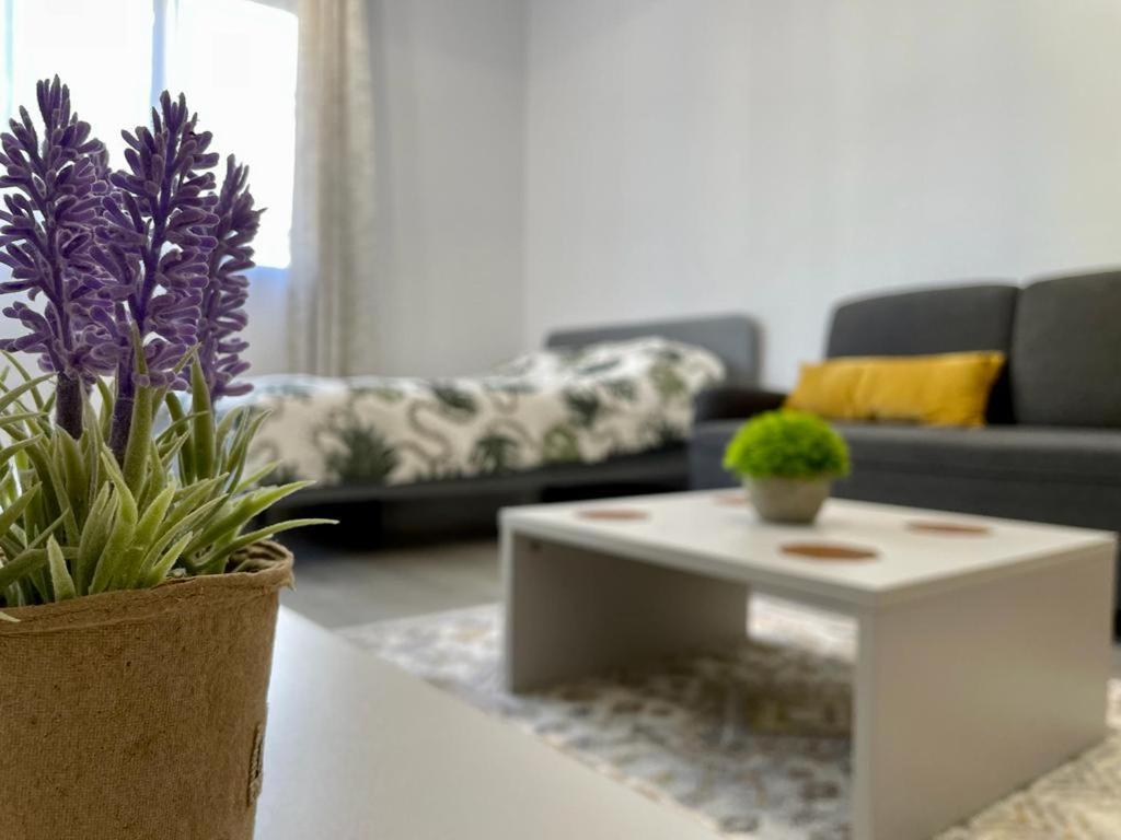 Belvedere Apartments 布加勒斯特 外观 照片